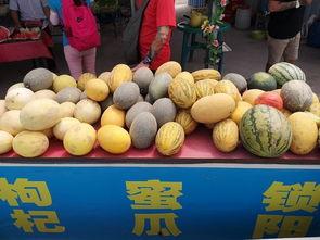 青海的瓜怎么吃,青海瓜的独特食法探秘