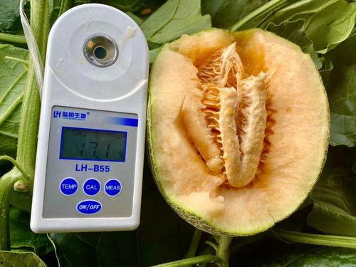 新吃瓜合集,盘点娱乐圈最新热点事件