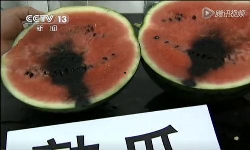 苏州疫情吃瓜视频,揭秘病毒下的网络热议与生活百态