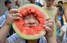 河北邯郸销售吃瓜,销售热潮席卷而来