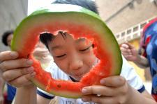 河北邯郸销售吃瓜,销售热潮席卷而来