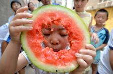 河北邯郸销售吃瓜,销售热潮席卷而来