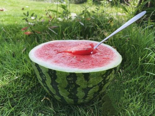 rainie田吃瓜,揭秘娱乐圈的“吃瓜”达人