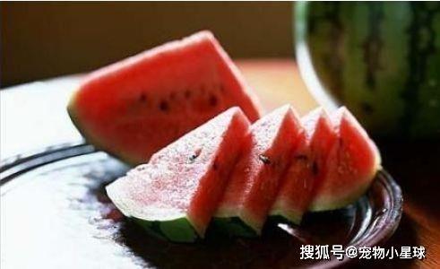 rainie田吃瓜,揭秘娱乐圈的“吃瓜”达人