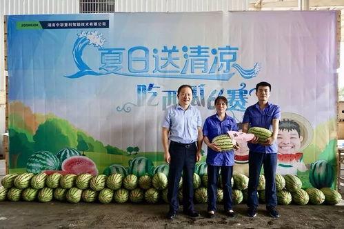 工会吃瓜活动,吃瓜活动共享清凉时光