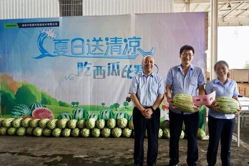 工会吃瓜活动,吃瓜活动共享清凉时光