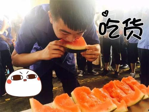 工会吃瓜活动,吃瓜活动共享清凉时光