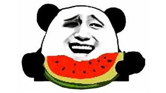 女友在吃瓜搞笑,女友的欢乐食瓜日常揭秘!”