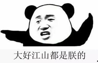 吃瓜群总,网络社交的趣味与争议