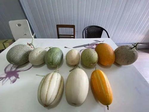 男子端饭碗吃瓜,展现独特生活态度