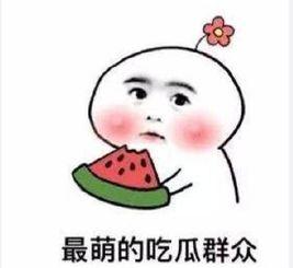 吃瓜群众的互怼,吃瓜群众互怼风云录