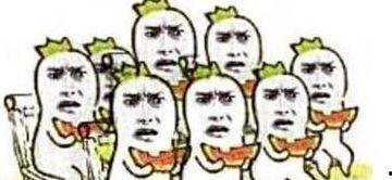 吃瓜群众的互怼,吃瓜群众互怼风云录