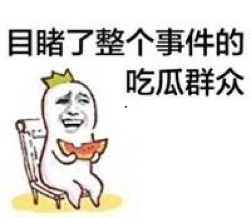 吃瓜群众的互怼,吃瓜群众互怼风云录