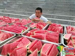 高校吃瓜资源,揭秘校园热点事件背后的真相